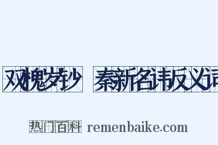 双槐岁钞·秦新名讳反义词是什么意思的图片